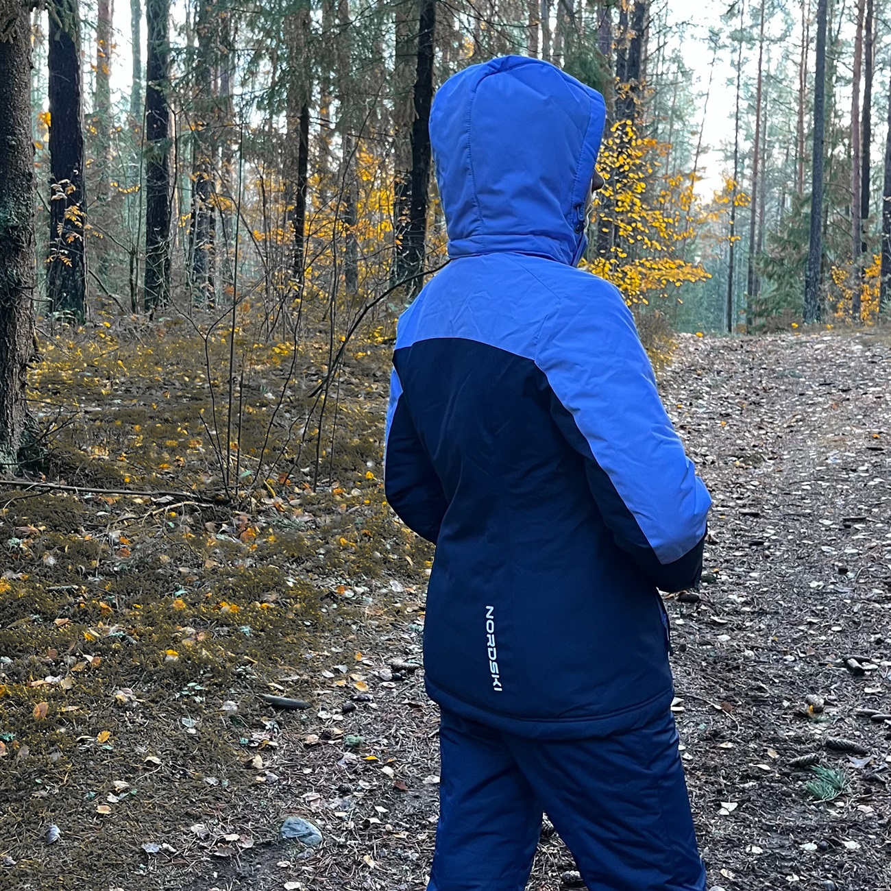 Куртка утепленная женская Nordski Mount 2.0 W NSW836  фото в интернет-магазине Travers