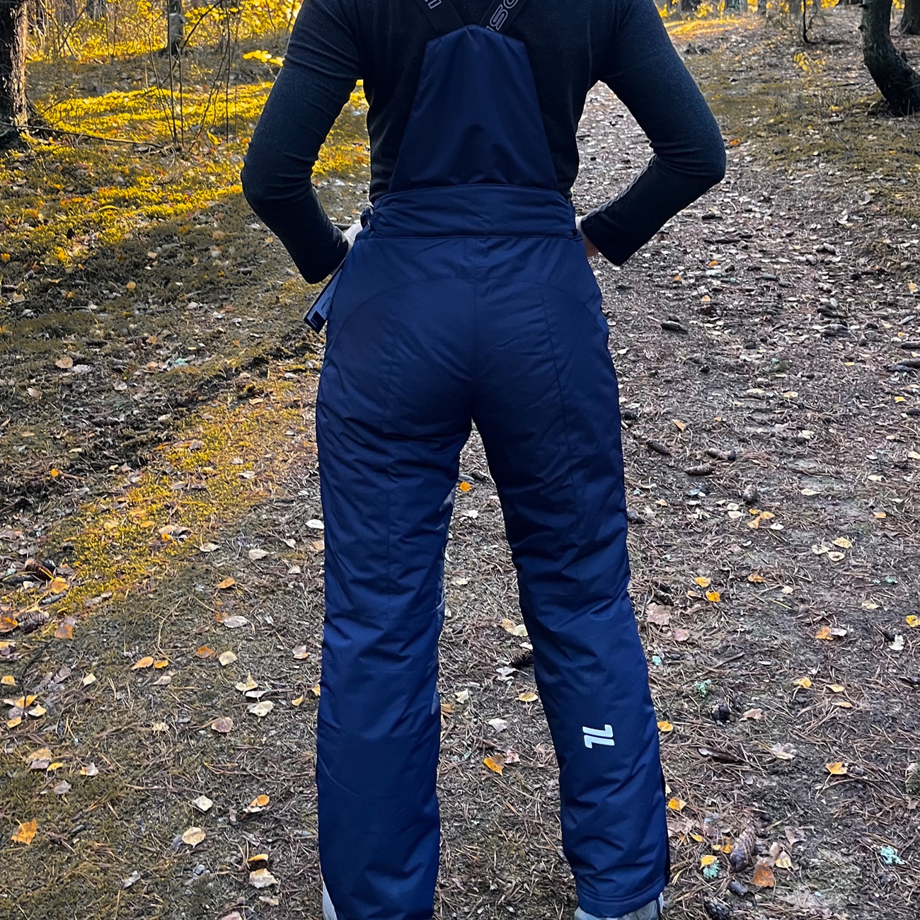 Брюки жен. утепл. Nordski MOUNT W NSW216  фото в интернет-магазине Travers