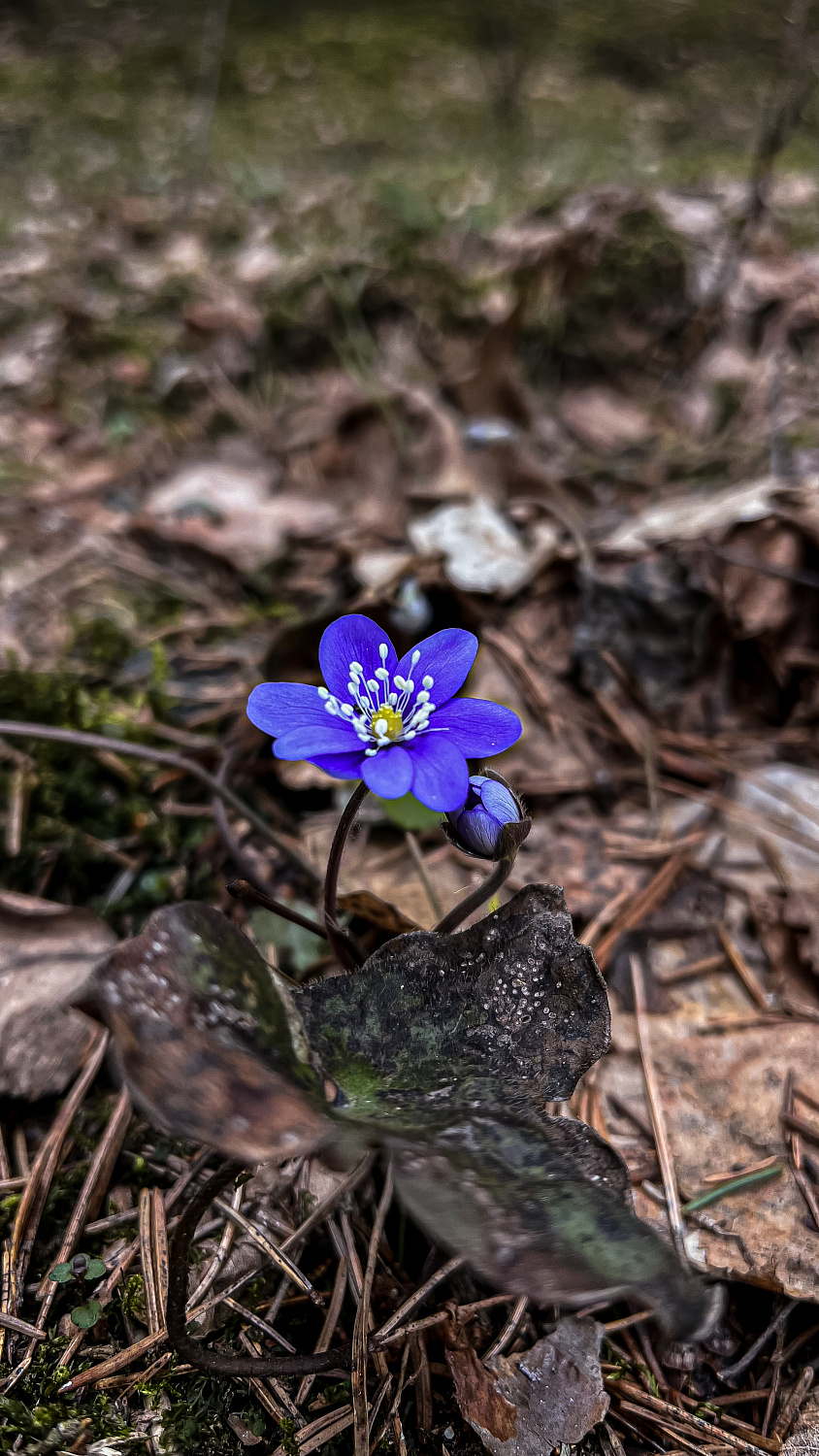 Поход выходного дня TRAVERS Ислочь