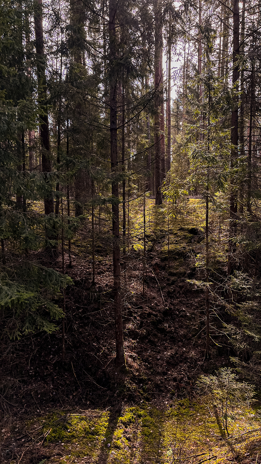 Поход выходного дня TRAVERS Ислочь