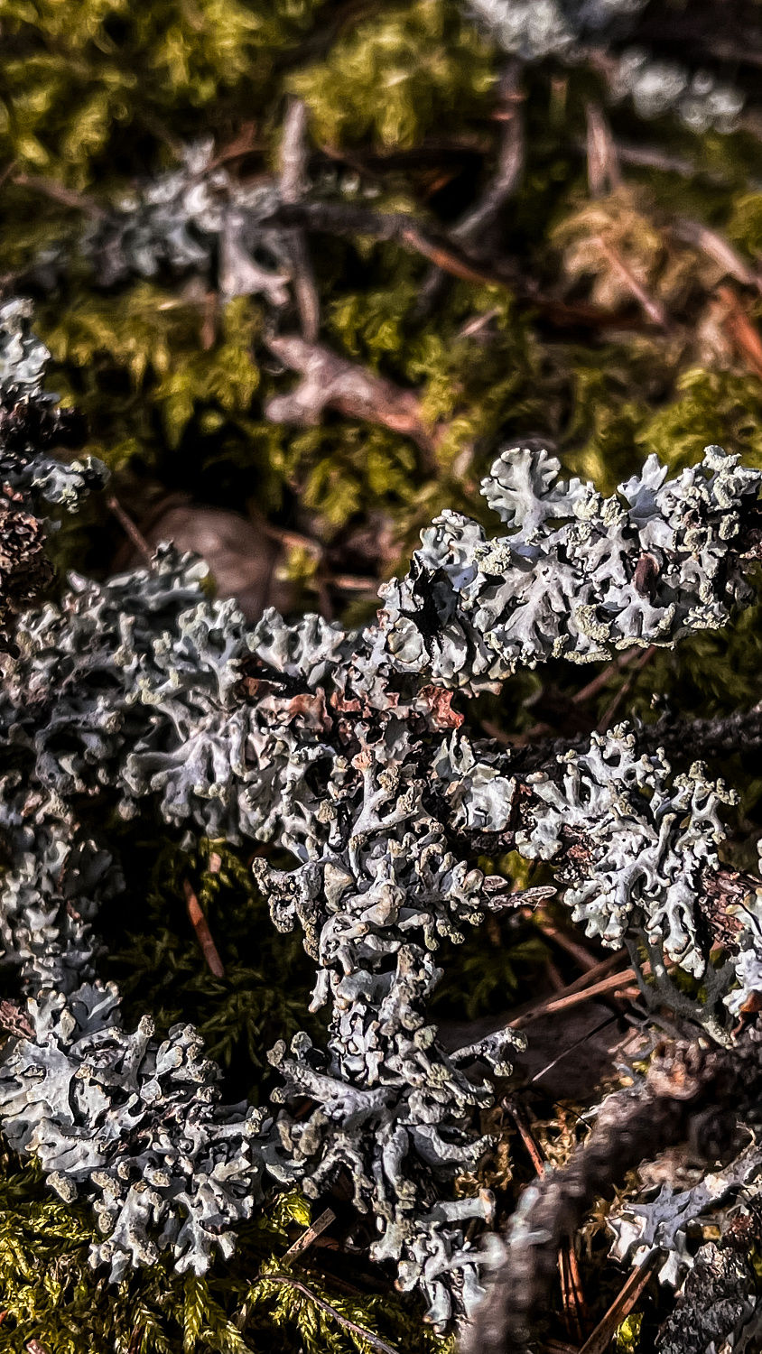 Поход выходного дня TRAVERS Ислочь